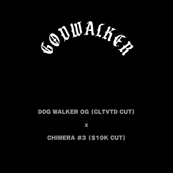 Godwalker