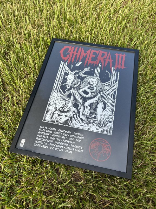 Chimera #3 Framed Print - Image 3