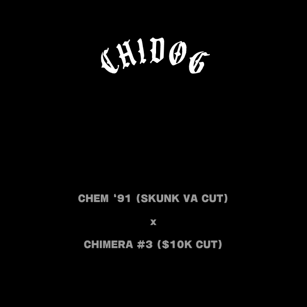 Chidog