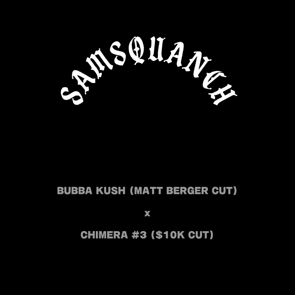 Samsquanch