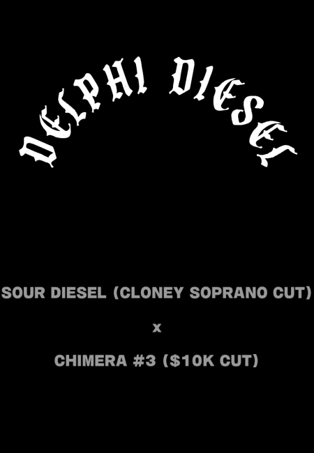Delphi Diesel