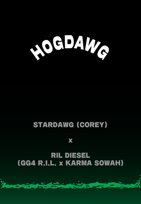 Hogdawg