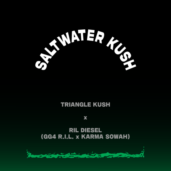 Saltwater Kush