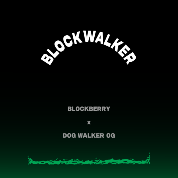 BLOCKWALKER