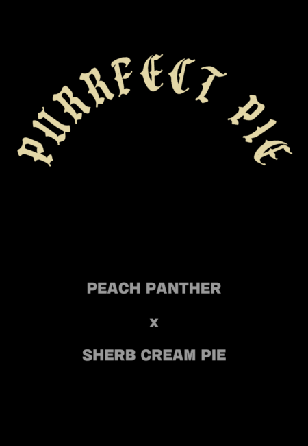 PURRFECT PIE
