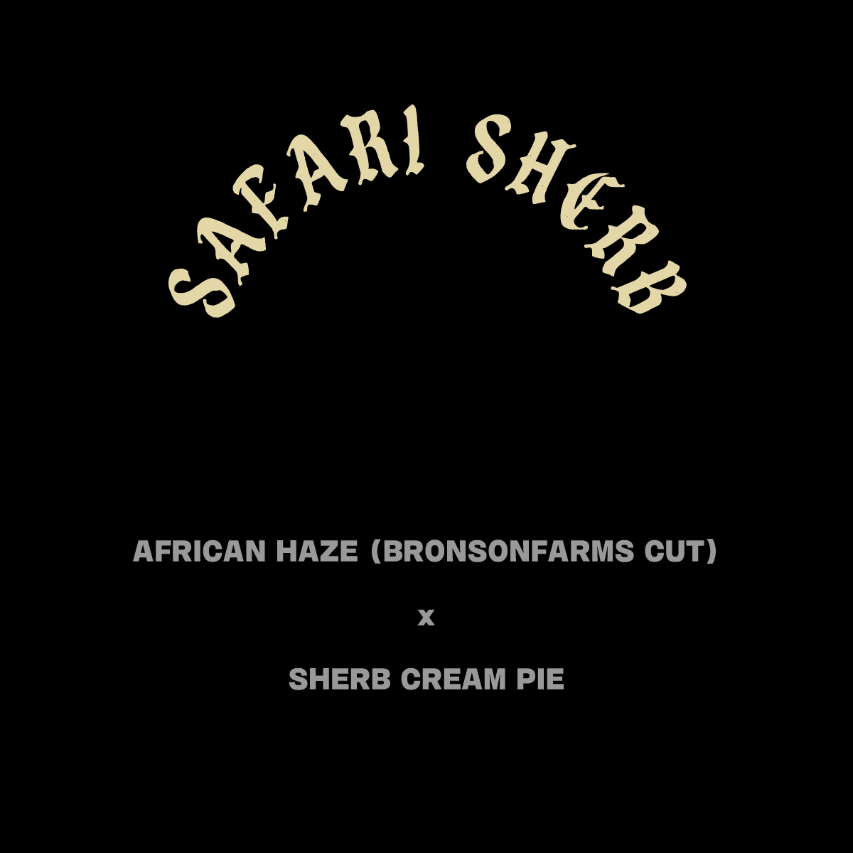 SAFARI SHERB