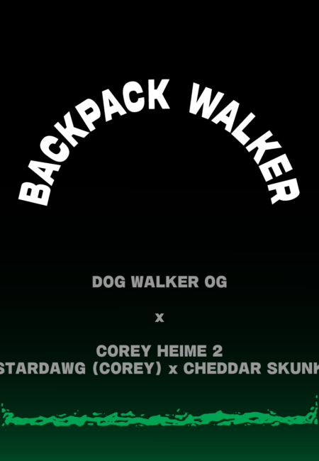 BACKPACK WALKER