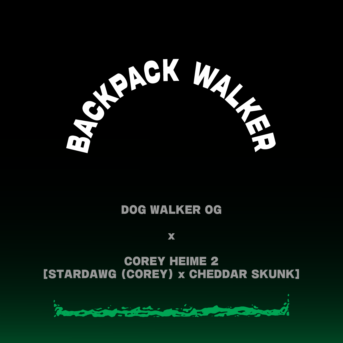 BACKPACK WALKER