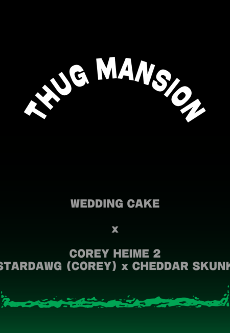 THUG MANSION