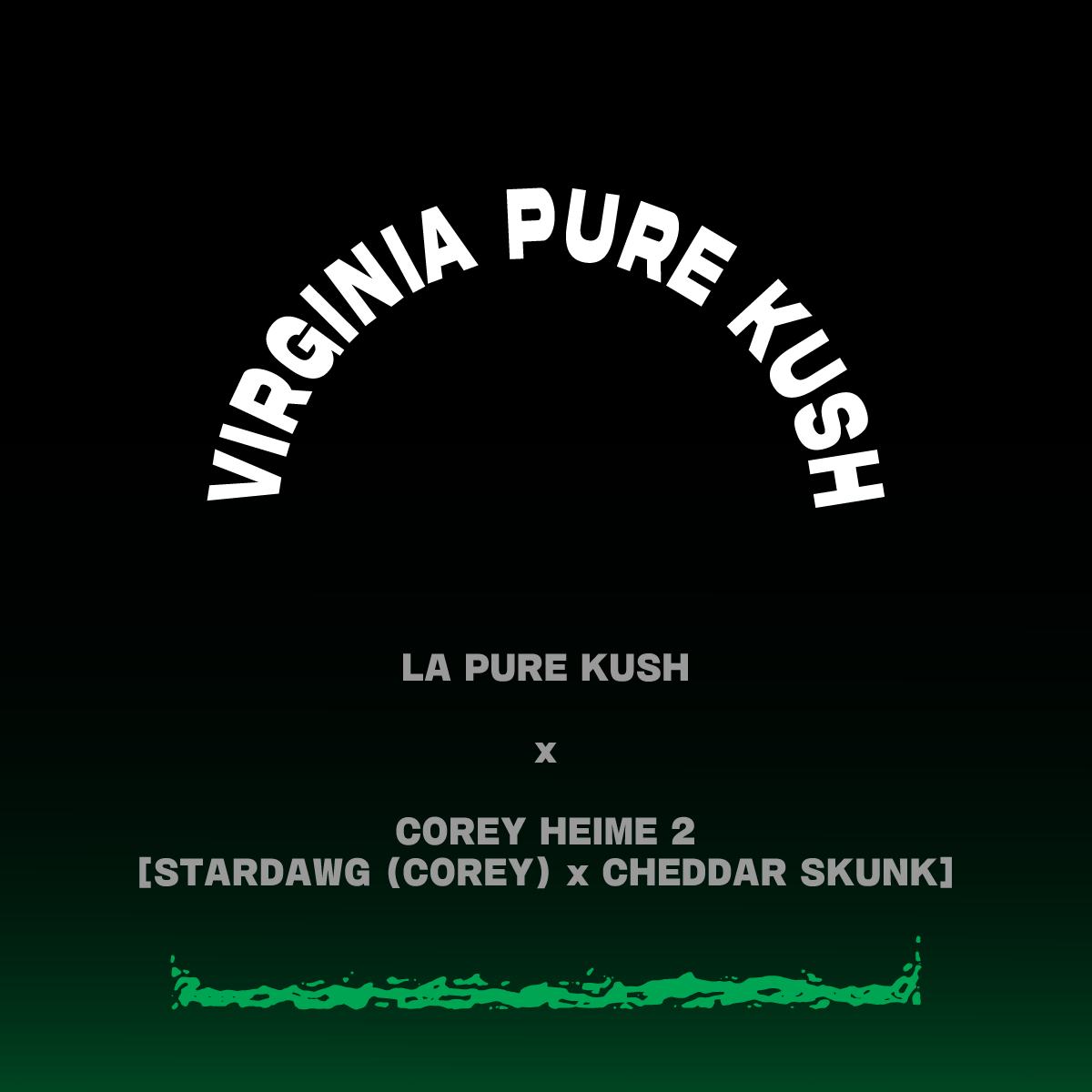 VIRGINIA PURE KUSH