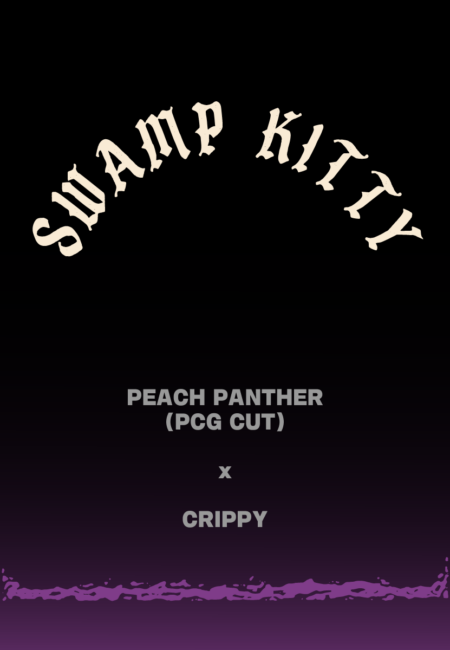 SWAMP KITTY